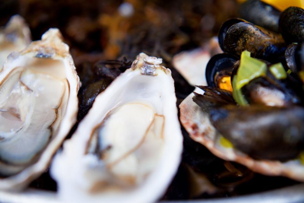 pierre-et-le-loup-huitre-moule pierre-et-le-loup-huitre-moule